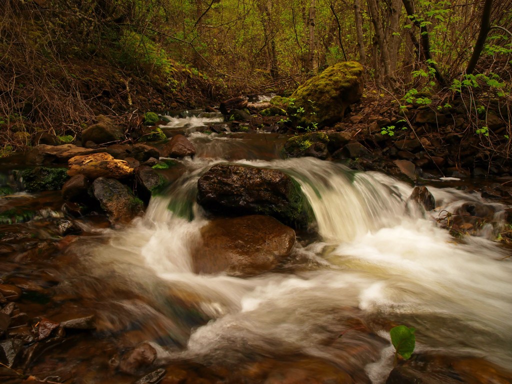 South Fork Walla Walla River