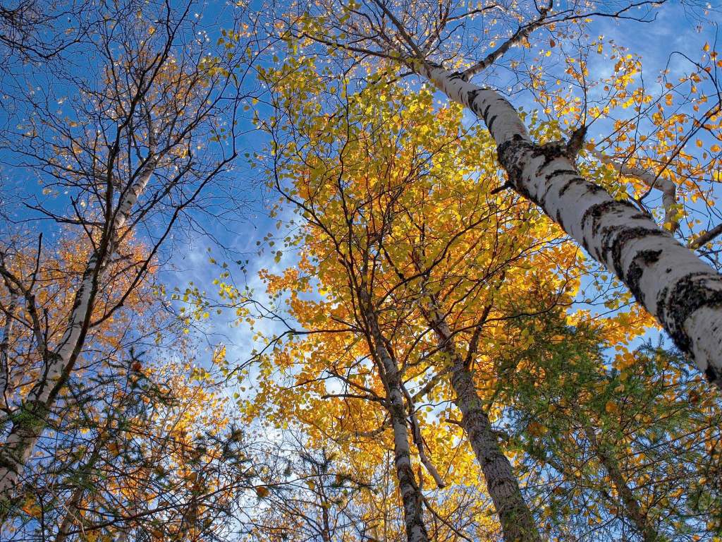 pa020214_hdr_psedited_desat_sky_10sep2016_2048x1536_web