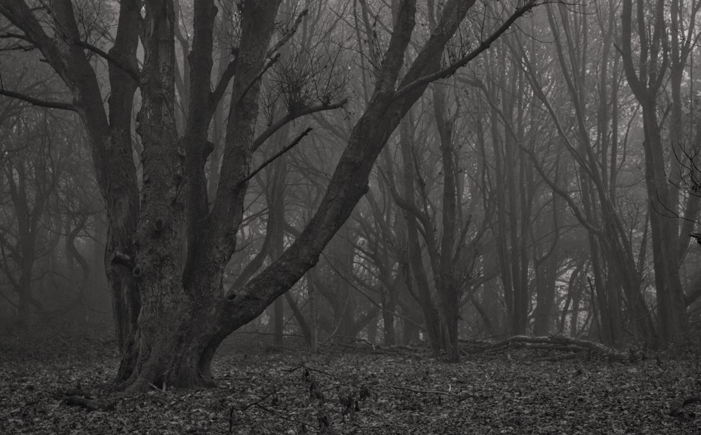 pb169198_hdr_psedited_22sep2016_sepia